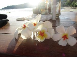 Clara's creation in paradise