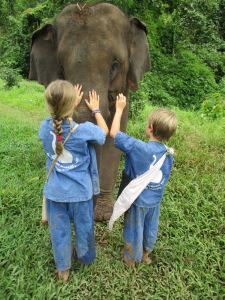 Unbelievable how gentle and friendly asian elephants are!
