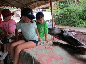 Same 80 kilo Boa on terrified kids :-)