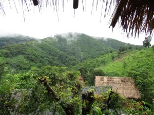 General view of the jungle from our lunch stop at a local home in a village