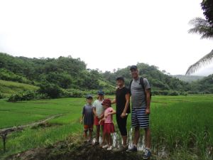 View of the rice fields. Stunning!