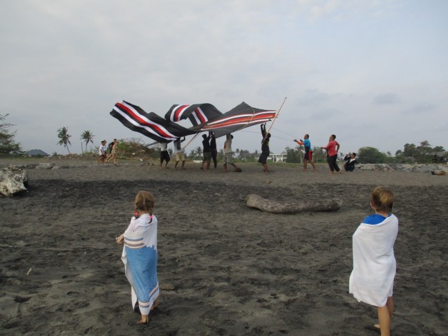 Kite season is a spectacle in Bali. The bigger the kite, the better.