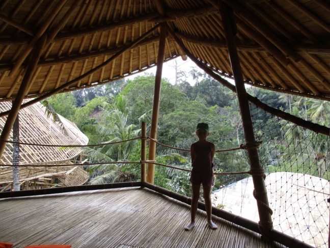 Jungle view from Pia's 3rd grade class