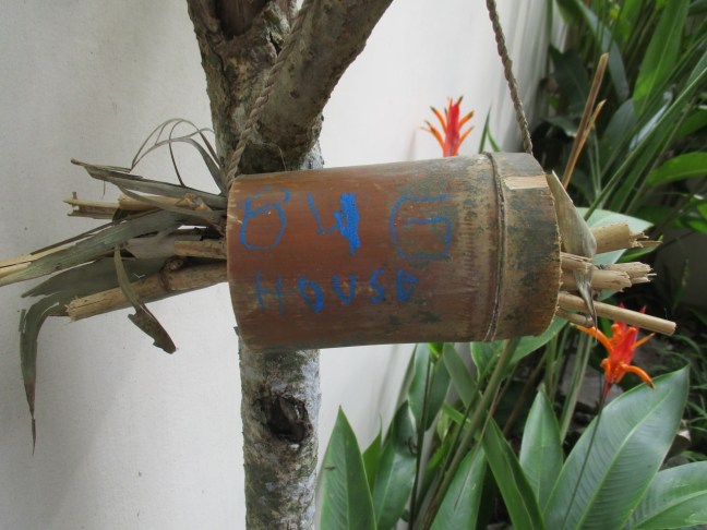 Clara's handmade house for bugs