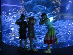 A worthwhile accidental trip to the aquarium