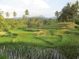 Hiking back from the waterfalls was absolutely stunning