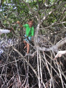 Playing in the mangroves