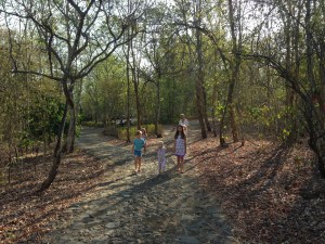 Pre-breakfast morning walk in pajamas at West Bali National Park around Menjangan