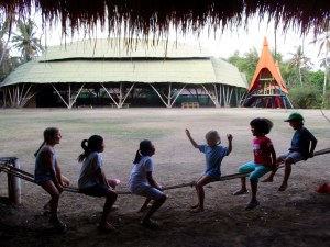 The jungle alternative to an improvised seesaw :-)